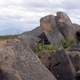 Petroglyphs and Landscape in Saguaro National Park, Arizona