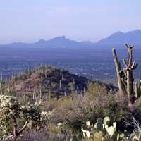 Saguaro National Park landscape with hills, Arizona