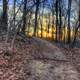 Sunset behind trees on Mount Magazine, Arkansas