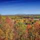 Forest landscape in the Autumn in Arkansas