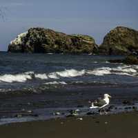 Beach of Santa Cruz Island, Channel Islands National Park, California