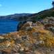 Shoreline and Landscape of Santa Cruz Island in Channel Islands National Park, California
