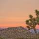 Dusk Skies over Joshua Tree National Park, California