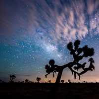 Landscape, night sky, and clouds at Joshua Tree National Park, California