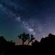 Night landscape, trees, and galaxy at Joshua Tree National Park, California