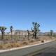 Roadway through Joshua Tree National Park, California