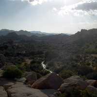 Sunlight and landscape at Joshua Tree National Park, California