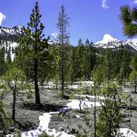 The Devstated Area of Lassen Volcanic National Park, California