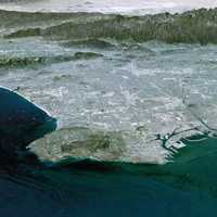 Satellite Image of the Los Angeles Basin, California