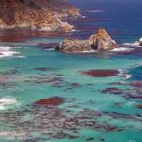 Big Sur rocky coast, fog and giant kelp in California