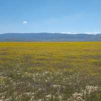 Carrizo Plain National Monument in California Landscape