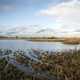 Cosumnes River Preserve landscape