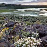 Landscape of Bodie Hills