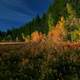 Night time Landscape in the Siskiyou National Forest