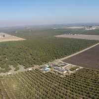 Panoramic view of farmland landscape