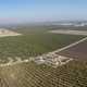 Panoramic view of farmland landscape