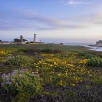 Piedras Blancas Outstanding Natural Area Seaside Landscape