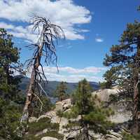 Rocky landscape on the trail in big bear