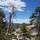 Rocky landscape on the trail in big bear