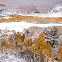 Snow and Mountains in Conway Summit