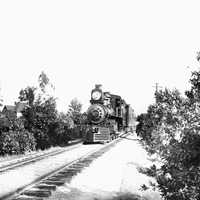 Southern Pacific Railroad train through an orange grove in Riverside, California