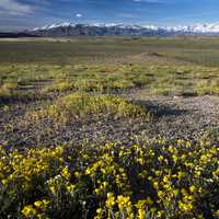 Volcanic Tablelands with mountains in the distance