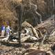 Wildfire Damage after Basin Fire in California in Big Sur