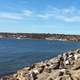 Shoreline walk and landscape in San Diego, California