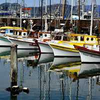 Boats in the Dock in San Francisco, California