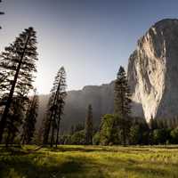 Landscape, cliff, and trees and Yosemite National Park, California