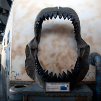 Giant Megaladon set of teeth