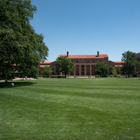 Students doing exercises on the grass