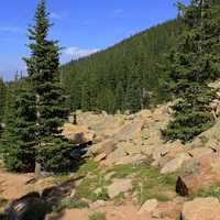 Landscape of the Mountainside at Pikes Peak, Colorado