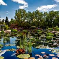 Botanic Gardens in Denver, Colorado