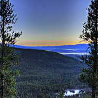 Dawn between the Trees at Mount Elbert, Colorado