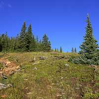 Landscape on Mount Elbert, Colorado