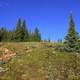 Landscape on Mount Elbert, Colorado