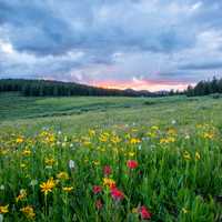 Beautiful Landscape and Skies in Red Cliff, Colorado United States