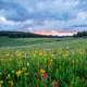 Beautiful Landscape and Skies in Red Cliff, Colorado United States