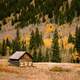 Cabin and woods in the fall in Boulder, Colorado