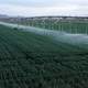 Center-pivot irrigation of wheat growing in Yuma County, Colorado