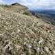 Continental Divide Trail in the San Juan Mountains