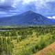 In shadow of the Mountain in Colorado