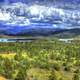 Trees and lakes and Mountains in Colorado