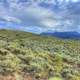 Shrubs on the Hillside in Colorado