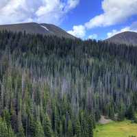 Forest below the peaks at Rocky Mountains National Park, Colorado