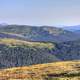 Forested Mountains at Rocky Mountains National Park, Colorado