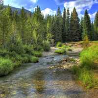 Infant Colorado River at Rocky Mountains National Park, Colorado