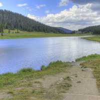 Lake and Forest at Rocky Mountains National Park, Colorado