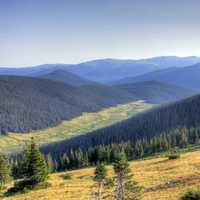 Mountains below the trees line at Rocky Mountains National Park, Colorado